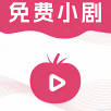 西瓜视频免费APP应用